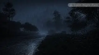 Rain Sounds on a Dark Road at Night 🌧️ (No Ads) Calm Soundscape for Sleep, Meditation, and Focus