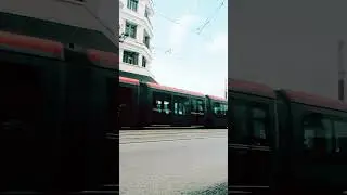 #maroc #funny #casablanca #fps #video #morocco