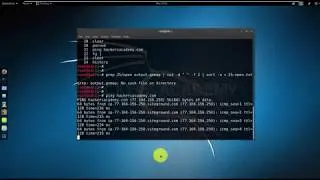 Kali Linux Terminal Signals and Shortcuts