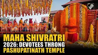Maha Shivratri 2026: Devotees throng Pashupatinath Temple in Kathmandu on the occasion
