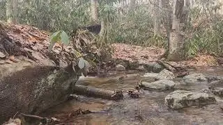 Day 43 - Big Miles, Cold Shower