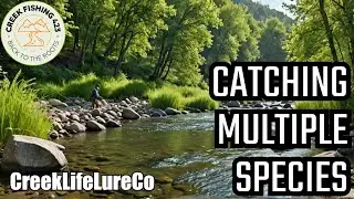 Ultralight Creek Fishing with Creek Life Lure Co Baits catching a variety of species of panfish.