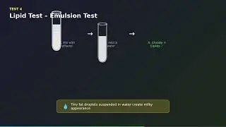 Video Description: Food Tests & Digestion Models: How do we identify what's in our food?