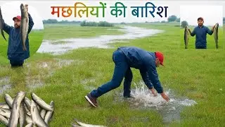 पहली बार चढ़ती मछलियां का खजाना 😱 Big size pathan चढ़णीचे मासे | Amazing Hanting