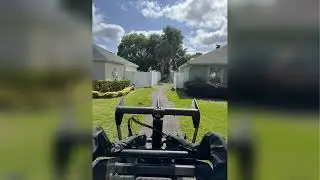 Expert Tree Service in Central Florida | Kevin's Tree Removal & Trimming Experts