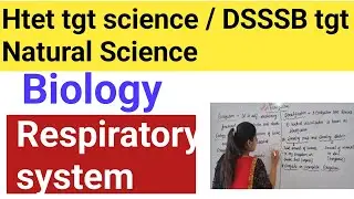 Respiratory system # tgt science biology section important topic # biology#dsssb2024#ctet2024jan