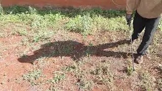 @Baba Deno. For all spraying services call 🤙 +254797115767