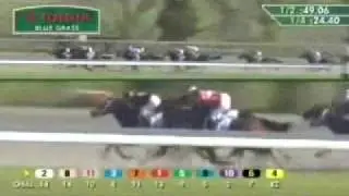 Toyota Blue Grass Stakes (Gr. I) - Keeneland - Vencedor: General Quarters