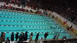 W 200 Breast