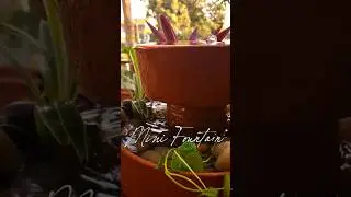 Mini Water Fountain #garden #diy