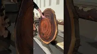 Monkey Pod Wood Slab #woodworking #liveedgeslab #youtubeshorts