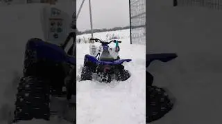 нет слов 🤣#квадроциклы #отдых #квадроцикл #atv #активныйотдых #горы #квадрик #экстрим #лето #прокати