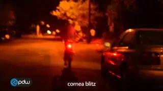 Radbot&trade; 1000 Tail Light by Portland Design Works - Light Show