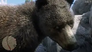 RDR2 Rip Wheeler Bear Whisper