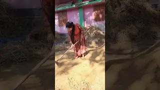 জীবনে কষ্ট করেই পার করতে হবে। #minivlog #lifestyle #vlog #shortvideo #shortsviral #short