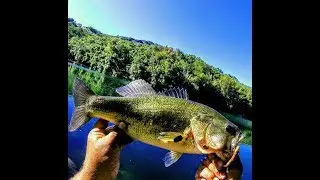 SIGHT 👀 FISHING for BASS AT OLD ALMADEN RESERVOIR  #GOPROQUIK