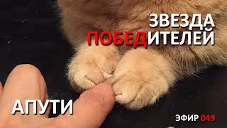 Звезды победителей 🔴 Поехали, Овощи! // BLITZBURY [BBURY]