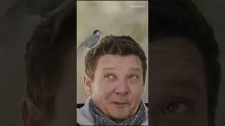 RL  Hero #rennervations #JeremyRenner #shorts