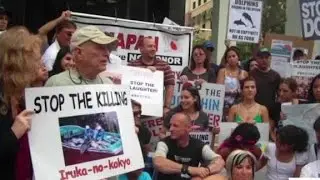 Global dolphin activist Ric O'Barry detained in Japan