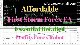 Affordable Forex EA Robot | First Storm Forex EA | Essential Detailed Forex EA Download