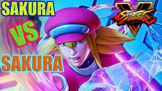 Street Fighter Five PC Game Play,  Street Fighter V gameplay SAKURA 2022 Win 11,