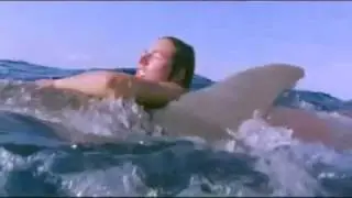 Sharks attack people Dolphins Defend