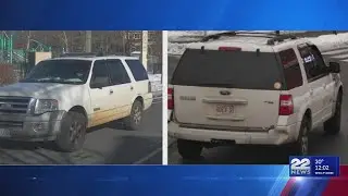 Springfield police charge woman in deadly hit-and-run
