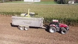 Corn Silage Harvest 2021 Destiny