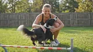 Complete Grain-Free Training & Sporting Dog Food