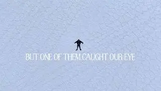 The Penguin yearns for the mountains #penguin #edit #mountains