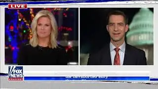 Cotton: Wall Street CEOs are effectively 'lobbyists for Communist China'