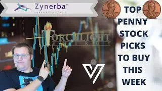 🔥Top Penny stock picks for next week | Will the market make a reversal🔥