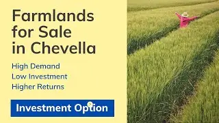 Investment Option | Farmlands for Sale in Chevella | Vipaf Real Estate