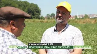 Kavun Yetiştiriciliği | Tarım Bilgisi