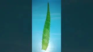 Aloe vera led light #Shorts