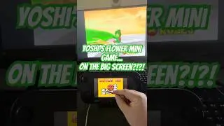Flower mini game... ON THE BIG SCREEN?!?! #supermario64ds #supermario64dsminigames #mario64ds #wiiu