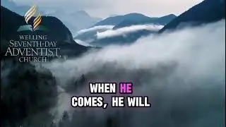 Jesus and the women Who Witnessed His storey | Daily Bible Verses for the Week | 4-10 January 2026 