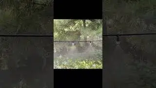 10/15/20m #mistingsystem ##mist #irrigationsystem  #gardening #raisedbeds