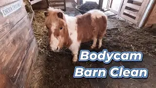 Satisfying Barn Cleaning