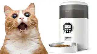 Wopet Automatic Pet Feeder Review
