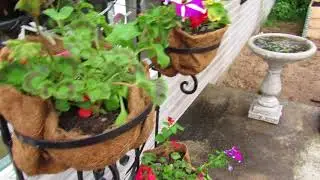 Finished: Coconut Liners For Planters