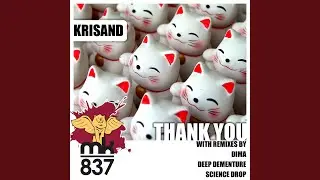 Thank You (Deep Dementure Remix)