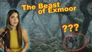 Beast of Exmoor: What We Know About England&rsquo;s Most Enigmatic Beast