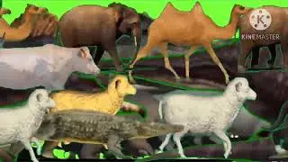 The lion king stampede green screen 