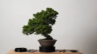 insoutenable.mp4