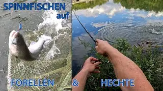Spinnfischen auf Mur-Hecht und Forelle  •  Catch & Cook
