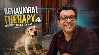 Video 230 | Labrador retriever | Behavioral training by Biswanath Paul Certified Dog Behaviorist
