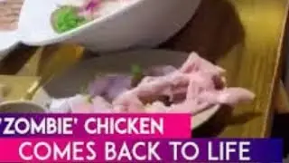 Raw meat called the zombie chicken jumps off plate in a restaurant wtf? Very real insane#subscribe
