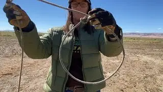 Getting Your Dog to Stop Pulling on the Leash. The Half Hitch Technique