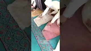Friends Praying in Peaceful Nature | Beautiful Islamic Scene
